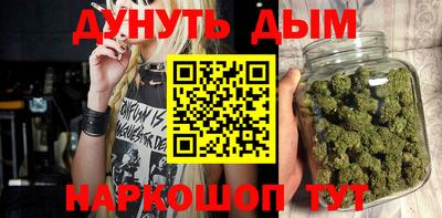 сатива Новокубанск