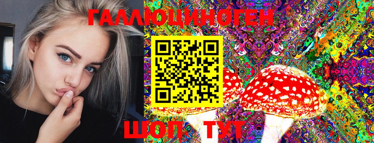 Галлюциногенные грибы мухоморы  Псилоцибиновые грибы MAGIC MUSHROOMS  Сланцы  даркнет сайт  Вход с VPN 
